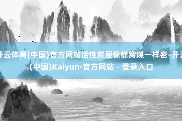 开云体育(中国)官方网站活性炭层像蜂窝煤一样密-开云(中国)Kaiyun·官方网站 - 登录入口