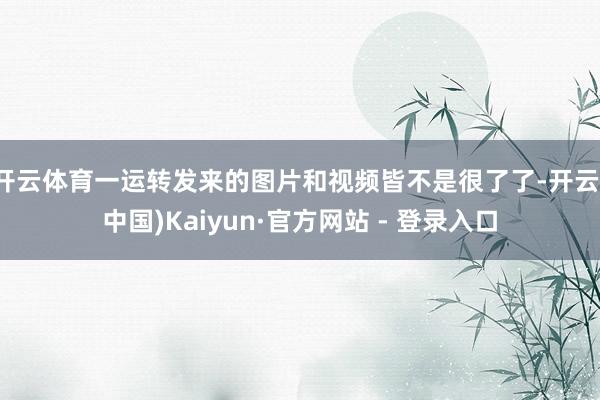 开云体育一运转发来的图片和视频皆不是很了了-开云(中国)Kaiyun·官方网站 - 登录入口