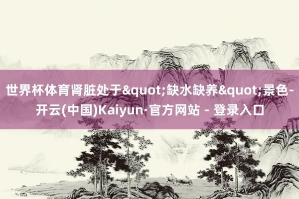 世界杯体育肾脏处于"缺水缺养"景色-开云(中国)Kaiyun·官方网站 - 登录入口
